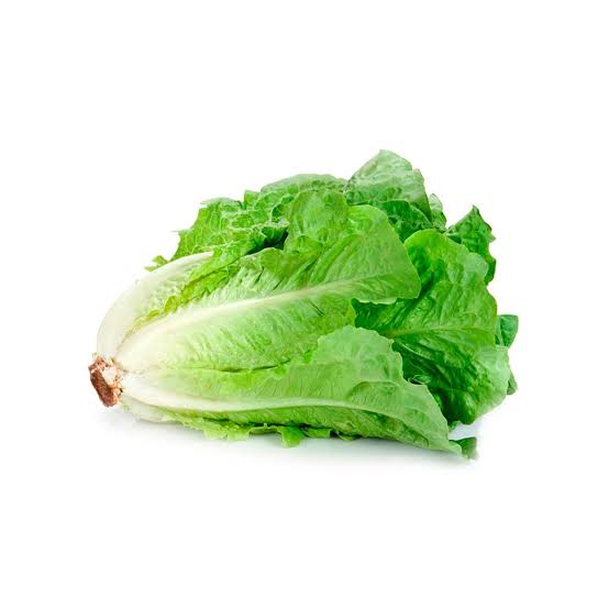 Lechuga Costina