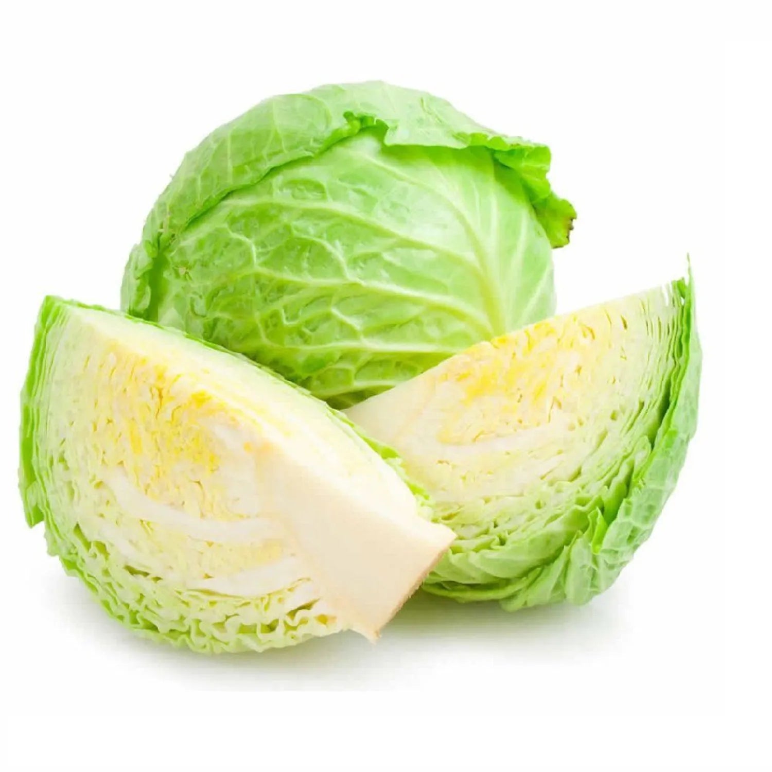 Repollo